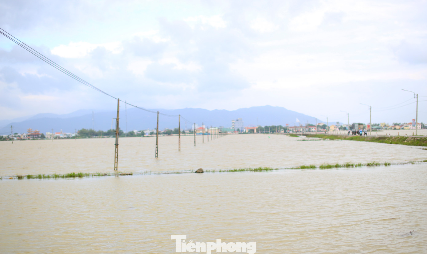 Những ngày qua, tỉnh Bình Định tiếp tục có mưa lớn kéo dài, hơn 4.000 ha lúa, rau màu vụ đông xuân 2024-2025 bị ngập úng. Riêng huyện Tuy Phước có tới hơn 1.000 ha. Ảnh: Trương Định.