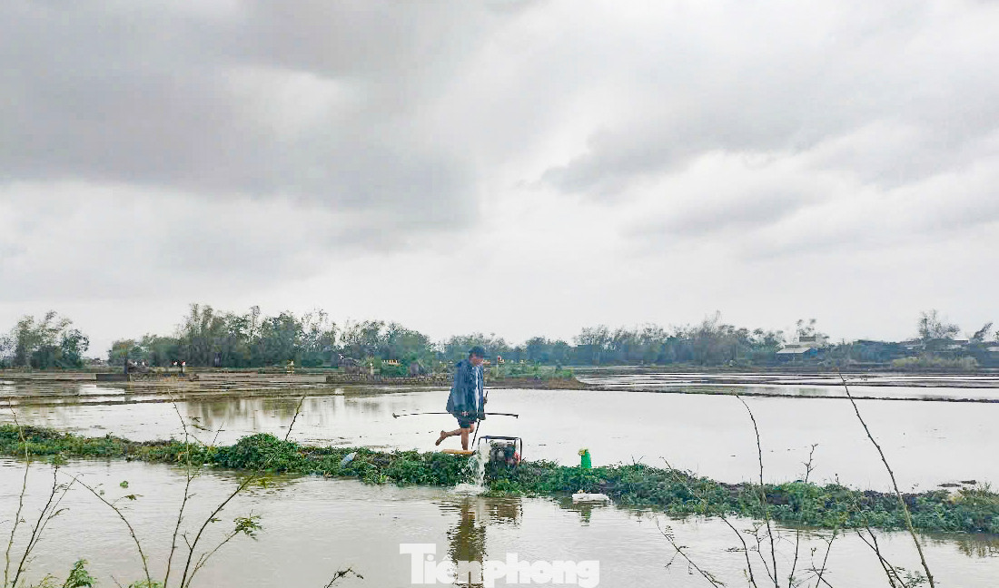 Nông dân cố gắng bơm nước ra khỏi ruộng. Ảnh: Trương Định.