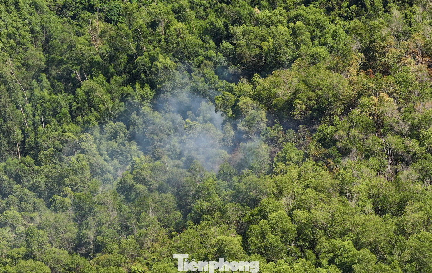 Khu vực rừng xảy ra cháy. Ảnh: A.T Khu vực rừng xảy ra cháy. Ảnh: A.T