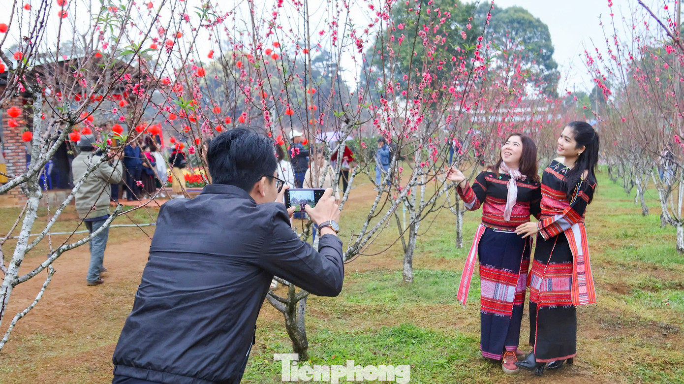 Du khách thích thú check-in với hoa đào. Du khách thích thú check-in với hoa đào.