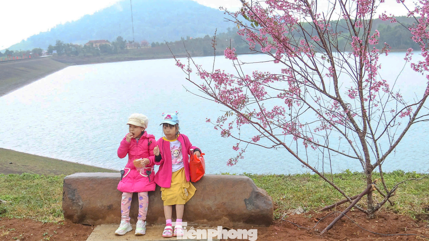 Người dân, du khách kéo đến tham quan, check-in với hoa đào. Người dân, du khách kéo đến tham quan, check-in với hoa đào.