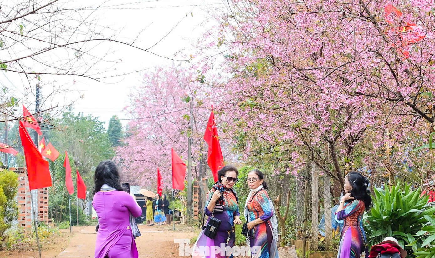 Người dân, du khách kéo đến tham quan, check-in với hoa đào. Người dân, du khách kéo đến tham quan, check-in với hoa đào.