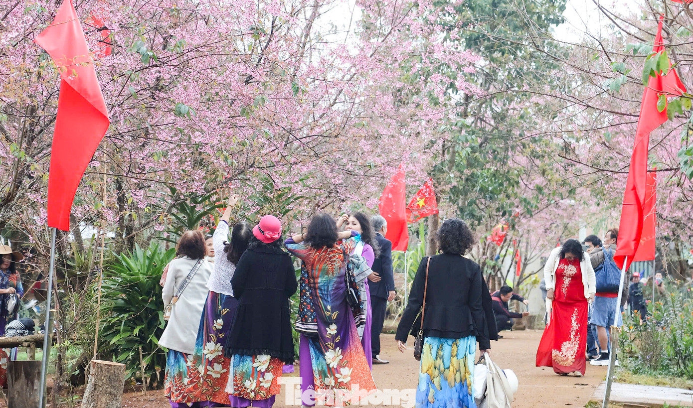Người dân, du khách kéo đến tham quan, check-in với hoa đào. Người dân, du khách kéo đến tham quan, check-in với hoa đào.