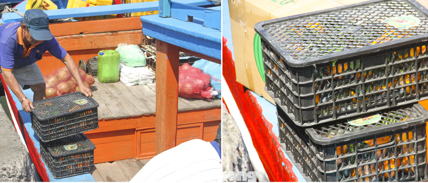 Những giỏ trái cây được người dân mang ra đảo. (Ảnh: Trương Định)