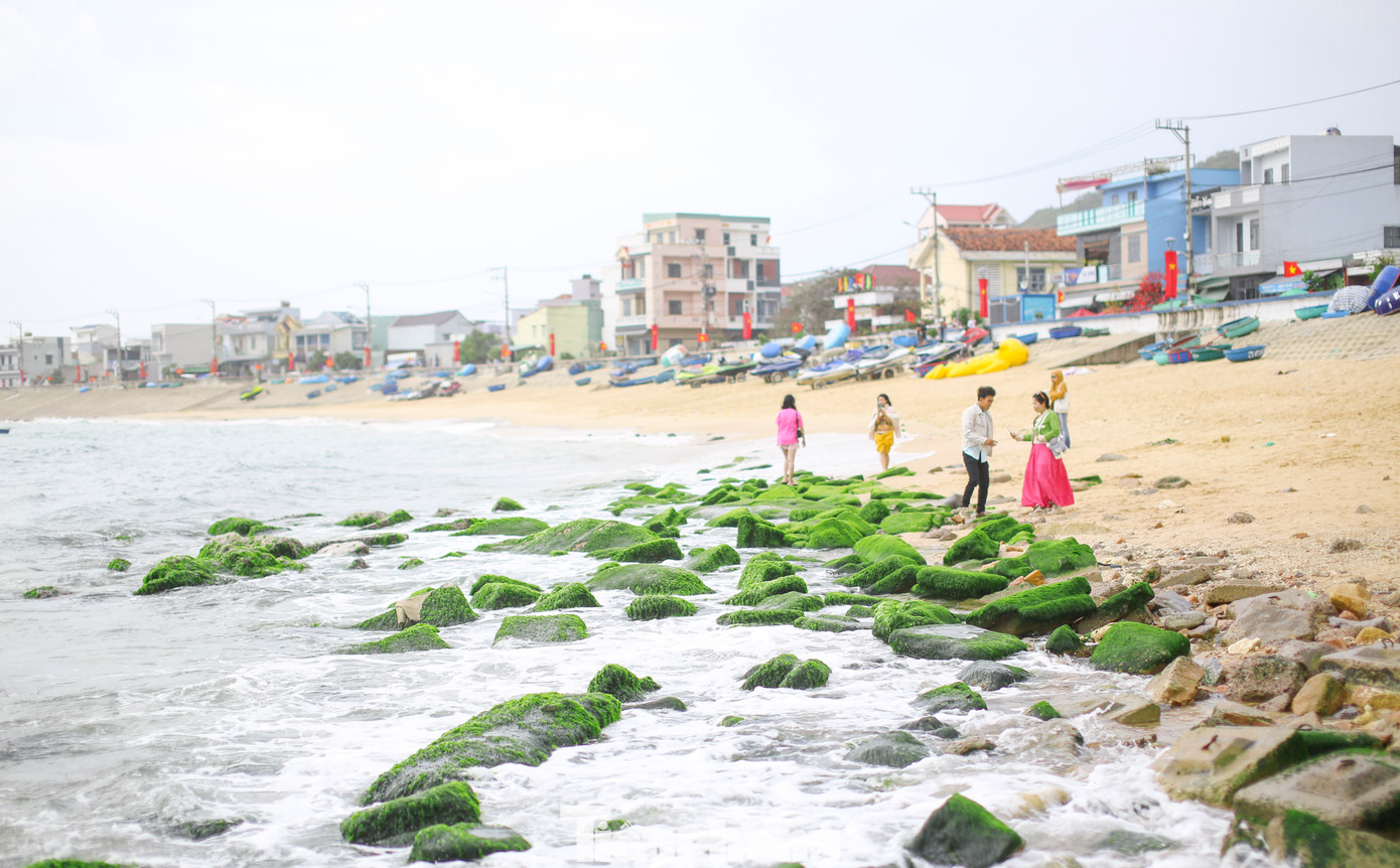 Chị Kiều Nga (30 tuổi, ở phường Hoài Hương, thị xã Hoài Nhơn, Bình Định) cho hay, thấy mạng xã hội đăng nhiều hình ảnh về bãi đá rêu Nhơn Hải nên bản thân cũng muốn trực tiếp đến đây để cảm nhận vẻ đẹp. Theo chị Nga, ở Hoài Hương cũng có nhiều bãi đá ven biển nhưng “thảm rêu xanh” trên đá thì chị chưa thấy. “Quả thực cảm giác đẹp rất khó tả”, Kiều Nga bày tỏ.