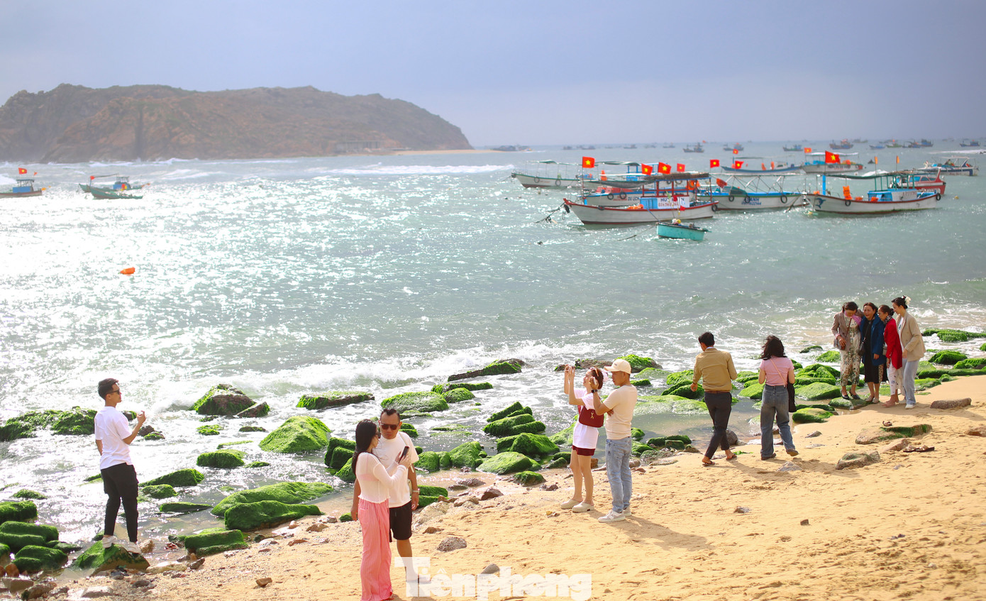 Theo người dân địa phương, rêu xanh năm nay xuất hiện sớm hơn, thường từ cuối tháng 2 trở đi. Thời điểm đẹp nhất để quan sát bãi đá rêu xanh mướt là sáng sớm, lúc mặt trời vừa ló dạng, thủy triều rút.