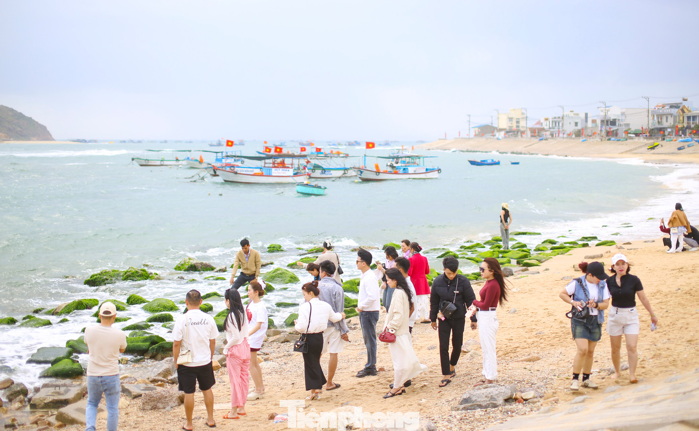 Ngay từ sáng sớm đã có rất đông du khách, giới trẻ tìm đến bãi đá rêu xanh ở Nhơn Hải để chờ tham quan, check-in.