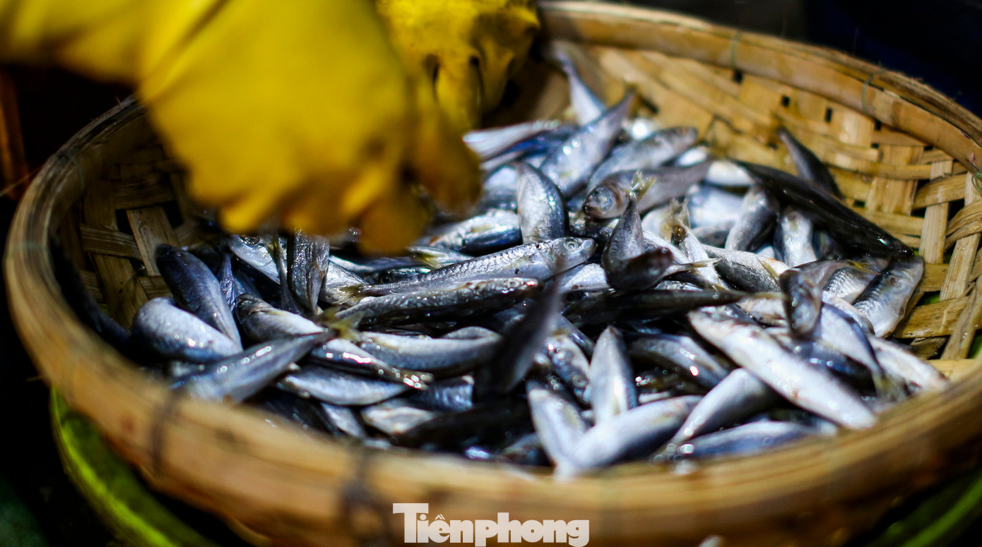 Nghề hấp cá - nghe thì đơn giản, nhưng đó là một công đoạn đặc biệt trong quá trình sơ chế cá để phục vụ tiêu thụ tại các thị trường.