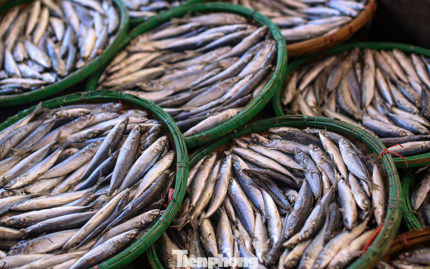 Nghề hấp cá - nghe thì đơn giản, nhưng đó là một công đoạn đặc biệt trong quá trình sơ chế cá để phục vụ tiêu thụ tại các thị trường.