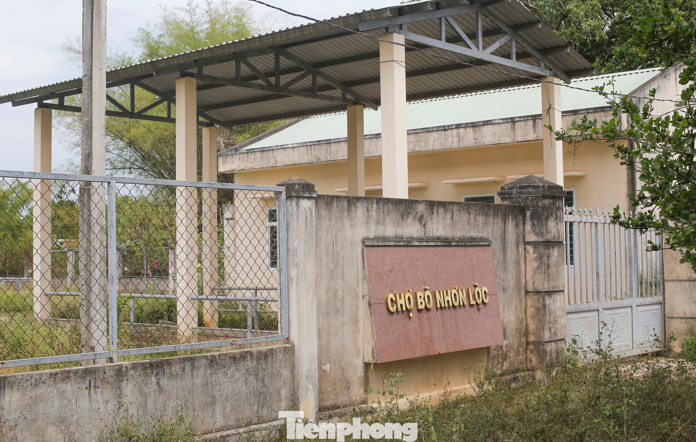 Chợ bò bỏ hoang, cỏ mọc um tùm. Ảnh: Trương Định