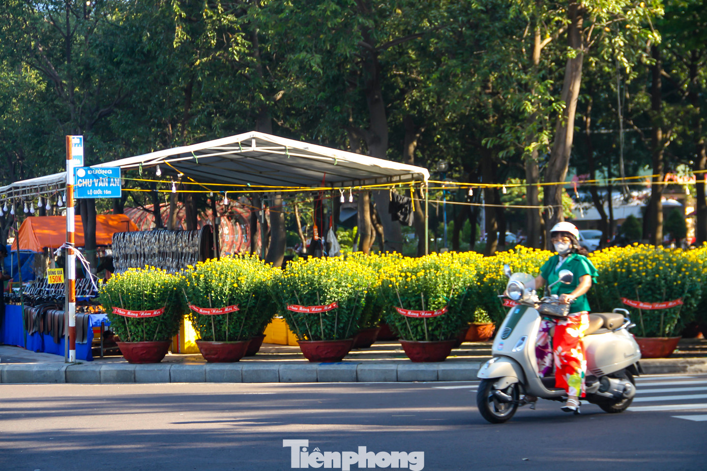 Sắc xuân tràn ngập trên mọi tuyến đường phố biển Quy Nhơn. Ảnh: Trương Định