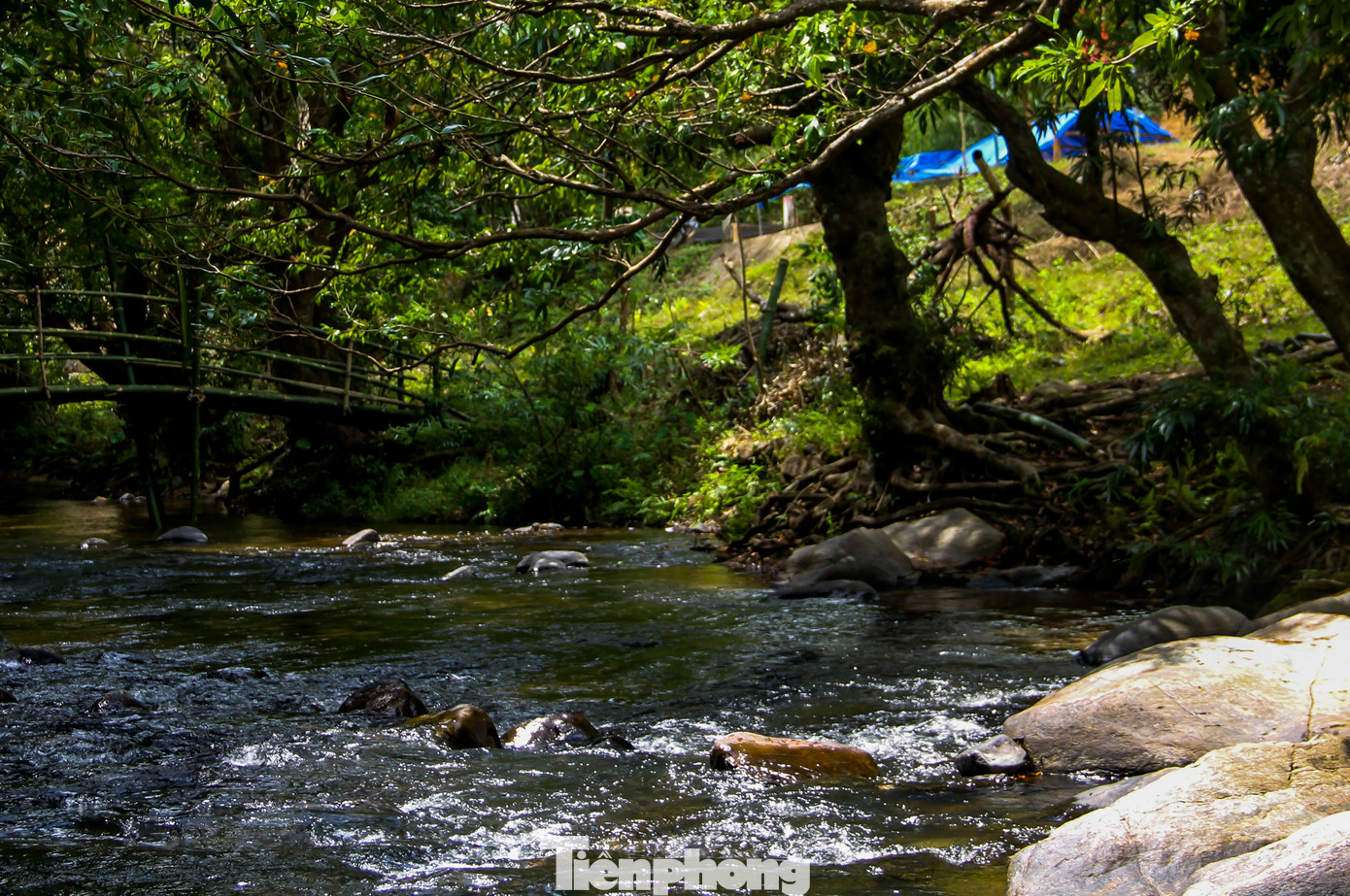 Bà Nguyễn Thị Minh Hoa (58 tuổi, thị trấn Vĩnh Thạnh) chia sẻ, những dịp rảnh rỗi hay cùng bạn bè, người thân đến suối Tà Má để thư giãn. Khi đến đây, tinh thần cực kỳ sảng khoái, vui vẻ, mọi stress trong cuộc sống như được tan biến. Bà Hoa mong muốn trong tương lai, cảnh sắc tuyệt đẹp nơi đây ngày càng được biết đến, thu hút đông đảo du khách. Ảnh: Trương Định