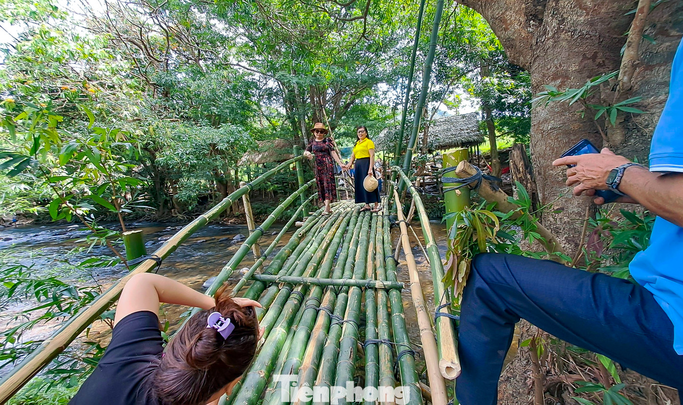 Người dân, du khách đến tham quan, chụp ảnh kỷ niệm. Ảnh: Trương Định