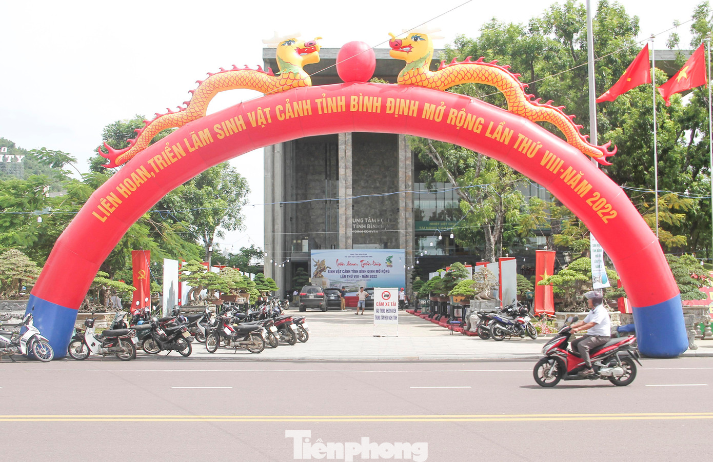 Khu vực Trung tâm Hội nghị tỉnh Bình Định nơi vừa diễn ra Lễ Khai mạc Liên hoan, triển lãm sinh vật cảnh tỉnh Bình Định mở rộng lần thứ 8 năm 2022.