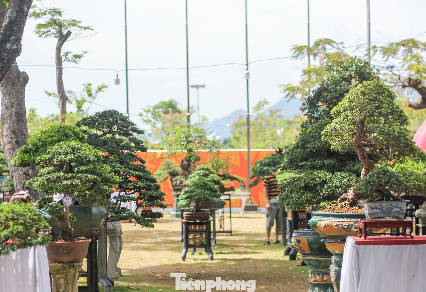 Liên hoan, triển lãm diễn ra từ ngày 22 – 28/8, nhằm chào mừng kỷ niệm 77 năm Cách mạng Tháng Tám và Quốc khánh 2/9.