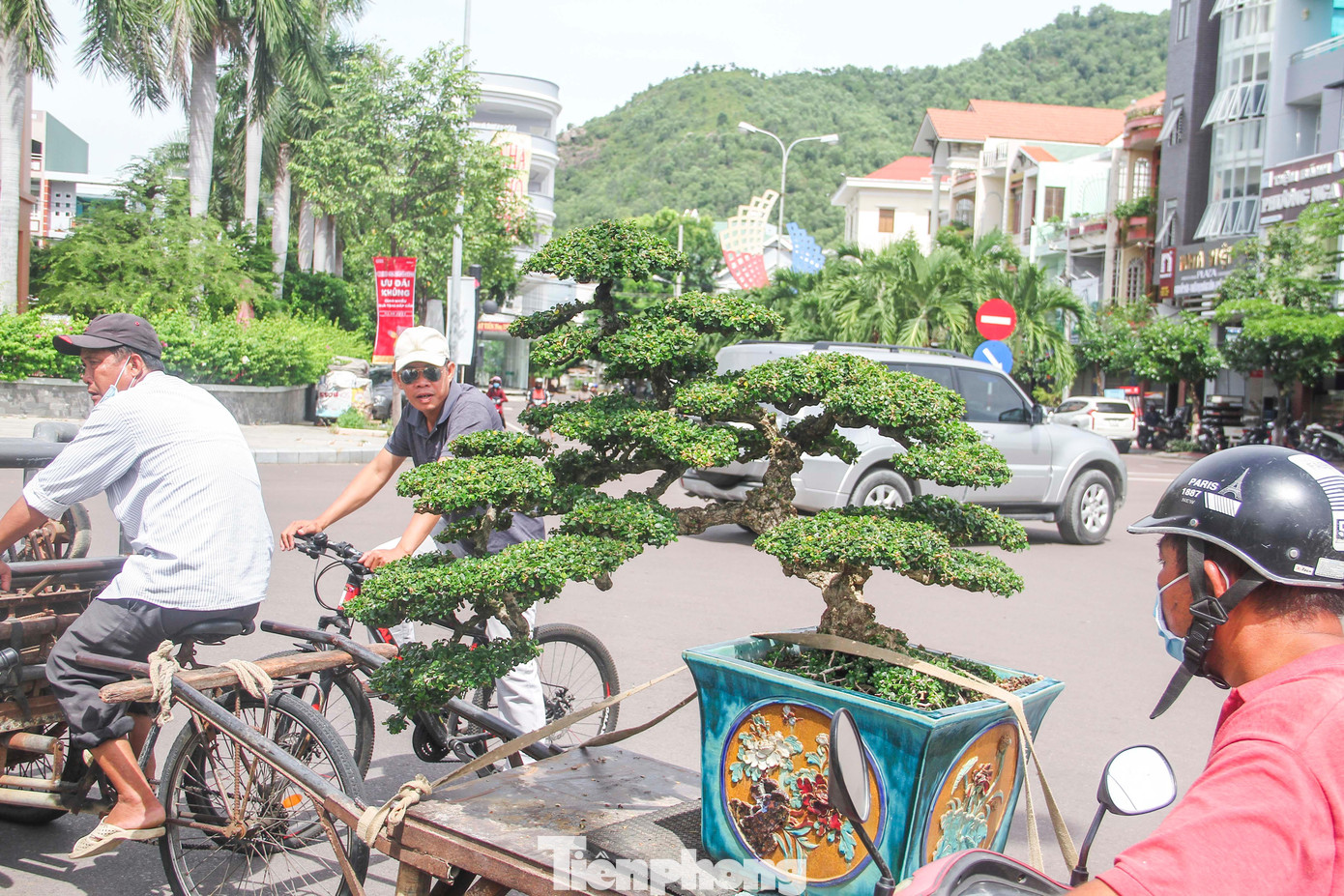 Sinh vật cảnh giờ đây không chỉ là thú vui tao nhã của tuổi già và những người có điều kiện, mà từng bước trở thành sản phẩm hàng hóa có giá trị kinh tế cao, góp phần tạo việc làm, xóa đói, giảm nghèo và làm thay đổi bộ mặt nông thôn, đô thị.