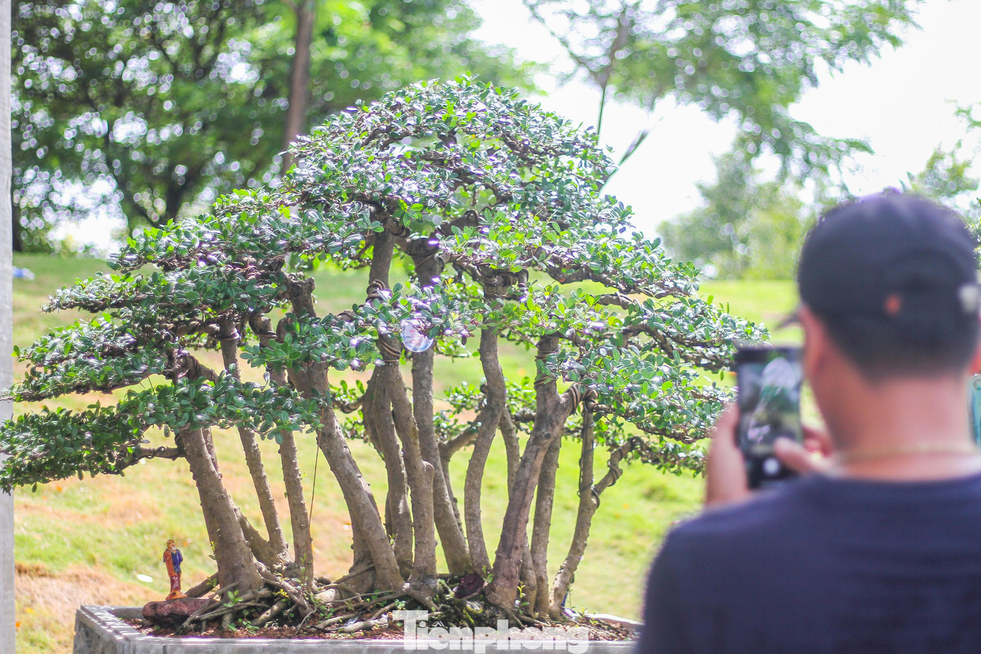 Người dân đến tham quan, chụp ảnh.