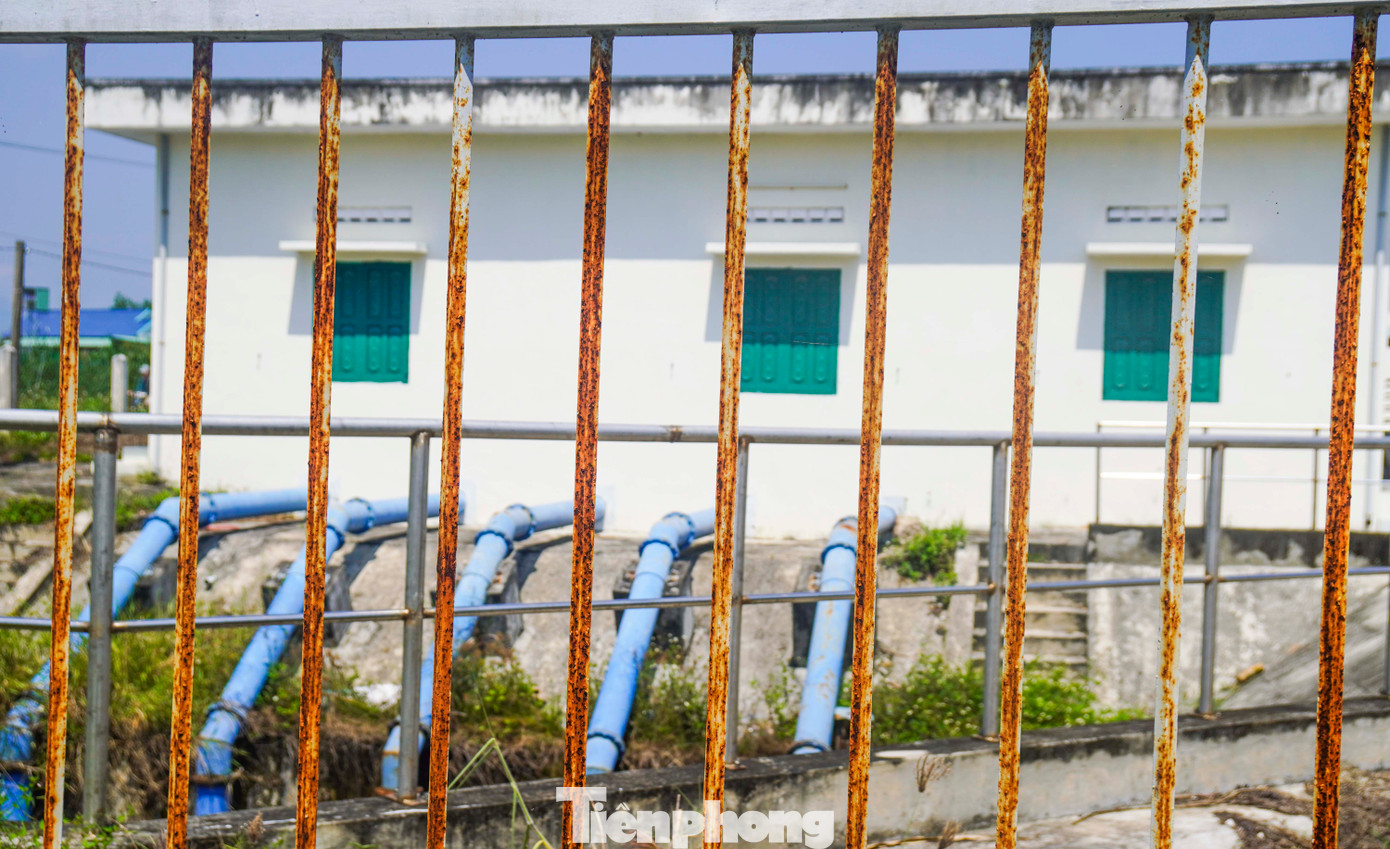 Bà Lê Thị Thường (65 tuổi, thôn Mỹ Hậu, xã Mỹ Tài) cho hay, địa phương thường xuyên xảy ra khô hạn, gieo trồng nhiều nhưng không có nước tưới, cây chết khô, chết héo, chi phí nhiều nhưng không có thu. Khi hay tin sẽ đầu tư trạm bơm, bà con rất vui mừng, phấn khởi, nhưng giờ thì càng buồn hơn khi trạm bơm vận hành được vài tháng rồi bỏ hoang. Ảnh: Trương Định