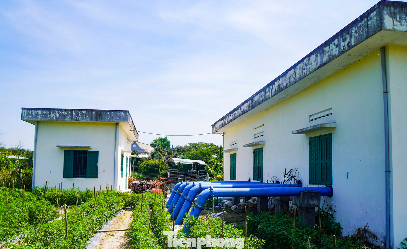 Lãnh đạo Phòng NN&amp;MT huyện Phù Mỹ cho hay, trạm bơm dừng hoạt động do nhiều nguyên nhân. Mới đây, Sở NN&amp;MT tỉnh cùng với các đơn vị cũng có cuộc họp để đánh giá lại. Địa phương cũng đang xây dựng lại đề án tổng thể để khắc phục. Trong chiều mai (26/3), sẽ họp lại một lần nữa để dự toán kinh phí bổ sung khắc phục, hướng bàn giao cho Công ty khai thác công trình thủy lợi quản lý. Ảnh: Trương Định