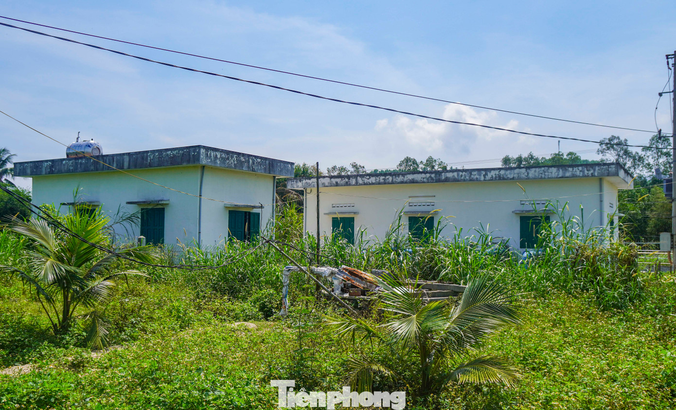 Khuôn viên trạm bơm cỏ dại mọc um tùm, các khu nhà Trạm bơm Mỹ Tài dần xuống cấp, nhiều năm không vận hành. Ảnh: Trương Định