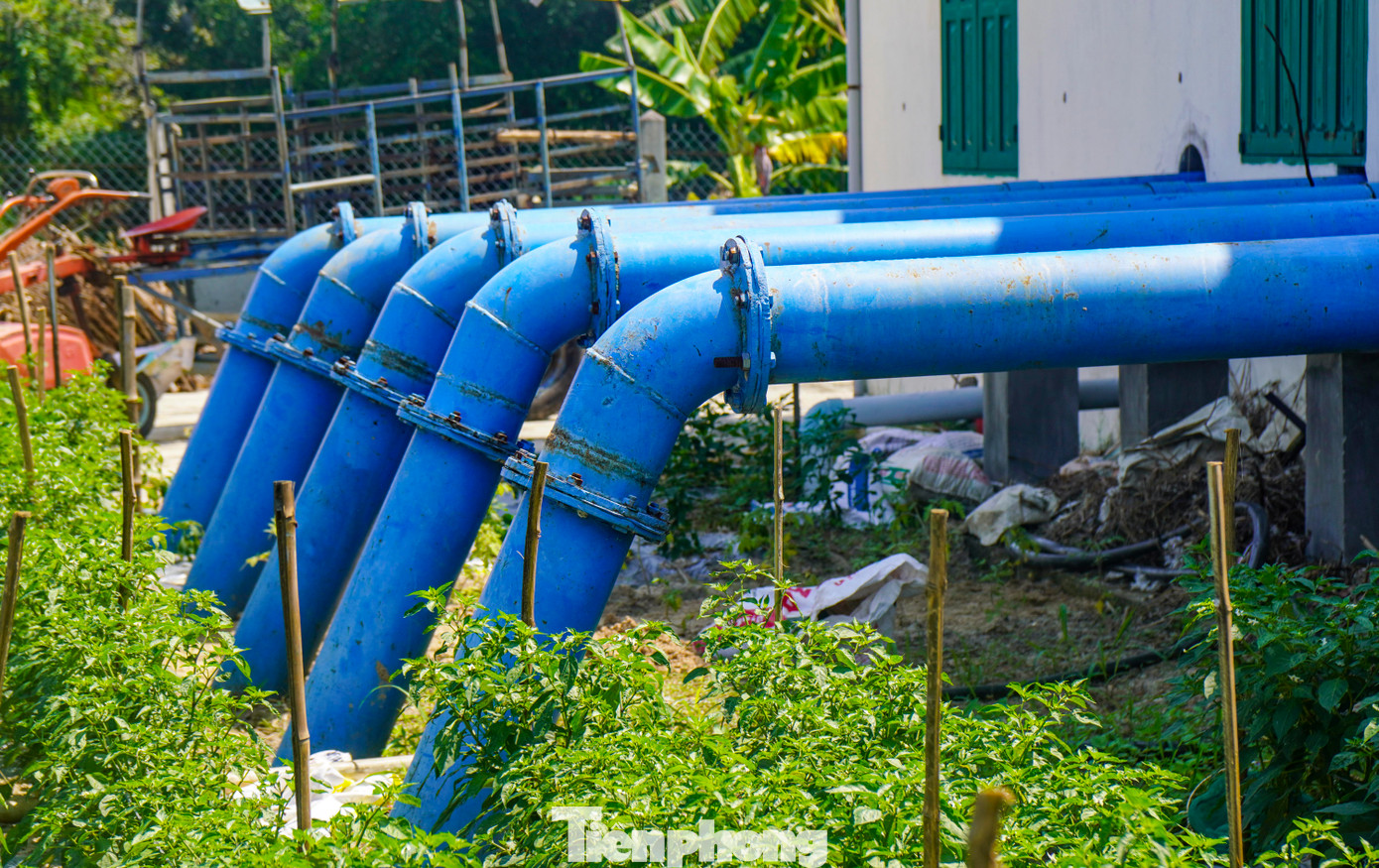Trạm bơm trước đó đã được bàn giao cho huyện Phù Mỹ, địa phương giao cho xã Mỹ Chánh Tây và Mỹ Tài thành lập ban để quản lý. Ảnh: Trương Định