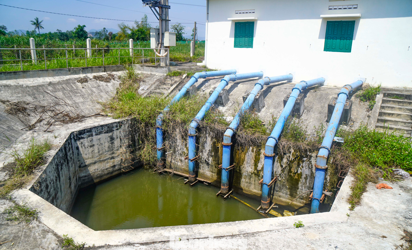 Theo mục tiêu ban đầu, đây là dự án thí điểm tưới nước tiết kiệm trên cây trồng cạn để ứng phó với tình hình nắng hạn, đồng thời giúp bà con nông dân tăng vụ cây trồng trên cùng một diện tích. Dự án sẽ phục vụ nước tưới cho 350ha đất nông nghiệp tại 2 xã Mỹ Tài và Mỹ Chánh Tây (Phù Mỹ). Ảnh: Trương Định