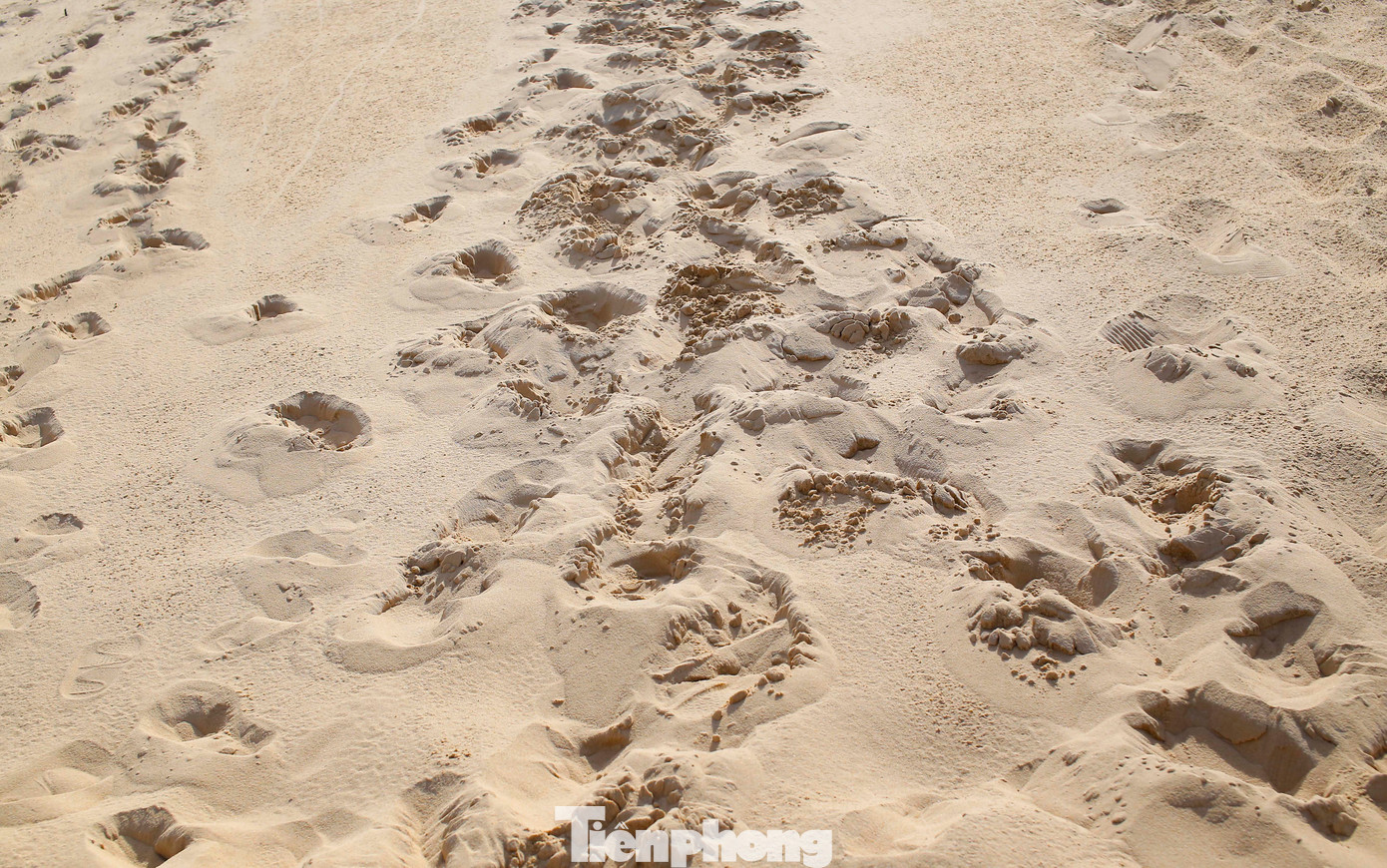 Đến với đồi cát Phương Mai, du khách có thể đi bộ trên những đồi cát trải dài nối đuôi nhau ngắm nhìn khung cảnh nơi đây, hoặc thử cảm giác mạnh với trò trượt cát. Ảnh: Trương Định. Đến với đồi cát Phương Mai, du khách có thể đi bộ trên những đồi cát trải dài nối đuôi nhau ngắm nhìn khung cảnh nơi đây, hoặc thử cảm giác mạnh với trò trượt cát. Ảnh: Trương Định.