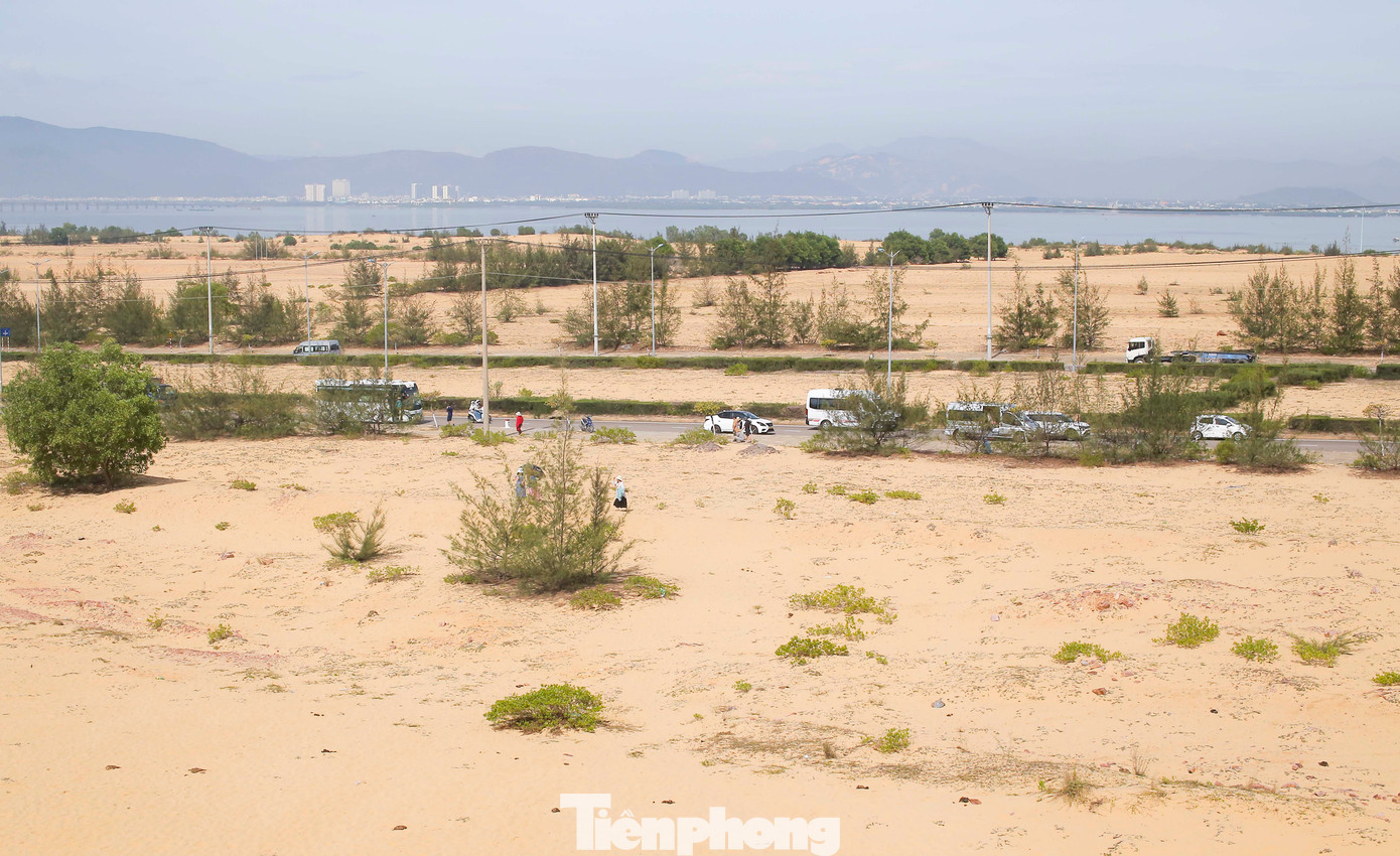 Đồi cát Phương Mai thuộc địa phận xã Nhơn Lý (TP. Quy Nhơn). Từ trung tâm thành phố, du khách di chuyển về hướng cầu vượt biển Thị Nại, từ trục đường Khu Kinh tế Nhơn Hội dễ dàng nhìn thấy những triền cát nối đuôi nhau trải dài. Ảnh: Trương Định. Đồi cát Phương Mai thuộc địa phận xã Nhơn Lý (TP. Quy Nhơn). Từ trung tâm thành phố, du khách di chuyển về hướng cầu vượt biển Thị Nại, từ trục đường Khu Kinh tế Nhơn Hội dễ dàng nhìn thấy những triền cát nối đuôi nhau trải dài. Ảnh: Trương Định.