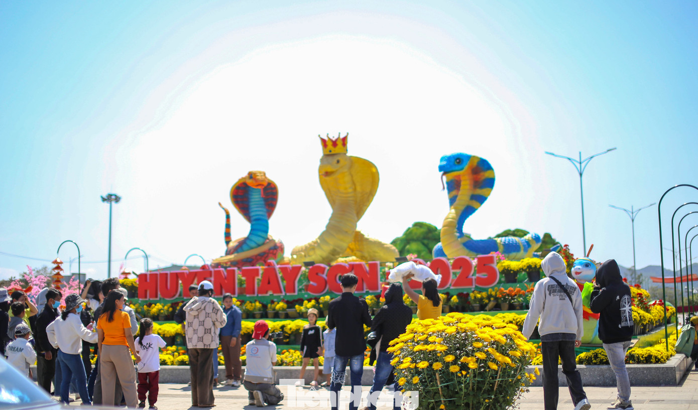 Check-in với cụm biểu tượng linh vật Ất Tỵ 2025 phía trước Bảo tàng Quang Trung của huyện Tây Sơn. Ảnh: Trương Định