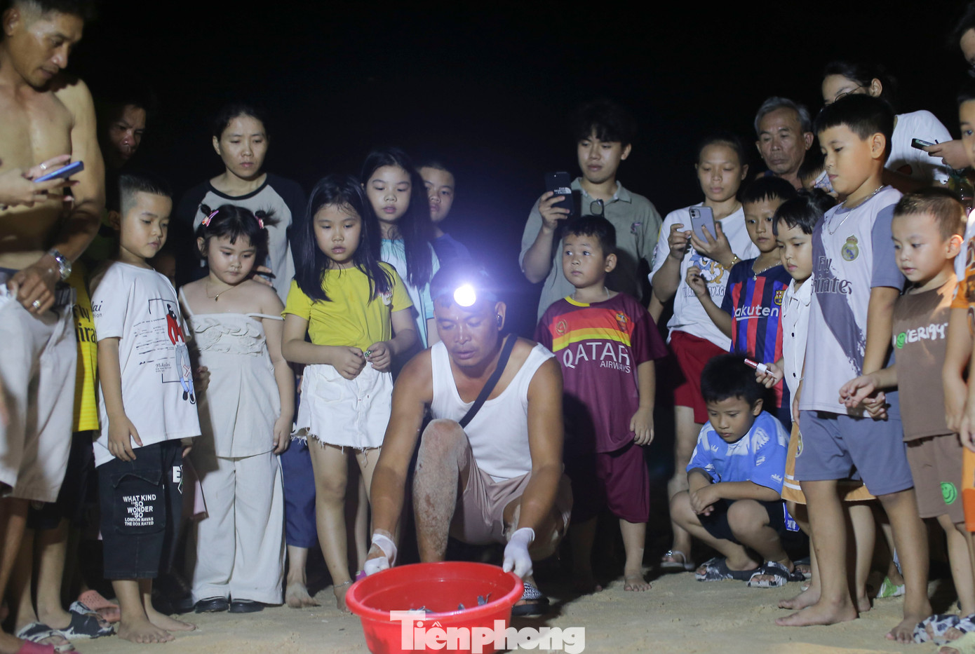 Thả rùa con về biển. Ảnh: Trương Định.