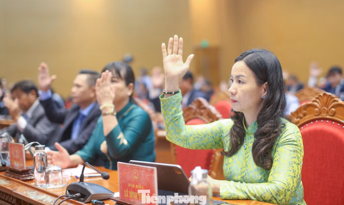 Các đại biểu thông qua nghị quyết. Ảnh: Trương Định Các đại biểu thông qua nghị quyết. Ảnh: Trương Định