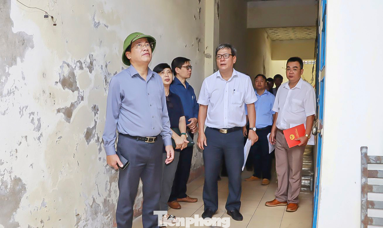 Chủ tịch UBND tỉnh Bình Định Phạm Anh Tuấn (người đứng hàng đầu) kiểm tra cơ sở nhà, đất hiện đang dôi dư trên địa bàn Quy Nhơn. Ảnh: VPUB Bình Định Chủ tịch UBND tỉnh Bình Định Phạm Anh Tuấn (người đứng hàng đầu) kiểm tra cơ sở nhà, đất hiện đang dôi dư trên địa bàn Quy Nhơn. Ảnh: VPUB Bình Định