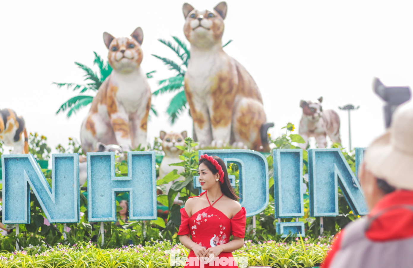 Biểu tượng linh vật Quý Mão năm 2023 của tỉnh Bình Định là cụm biểu tượng chính cao hơn 6m đặc tả gia đình mèo, gồm 9 con. Trong đó mèo bố, mẹ có chiều cao từ 3,6-4m và 7 mèo con (mỗi con cao gần 1,6m) được tạo hình sinh động, hiền hòa, sum vầy, hạnh phúc bên nhau. Ảnh: Trương Định