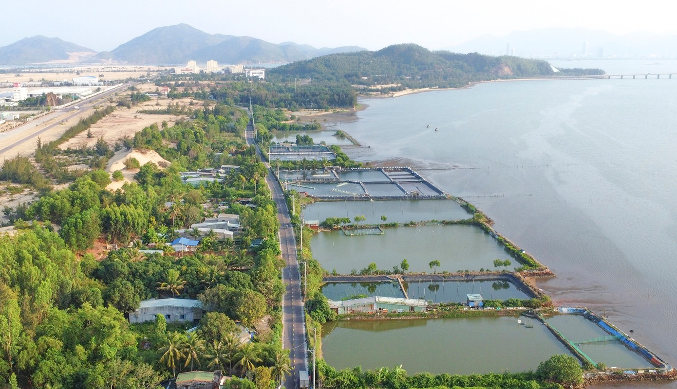 Khu vực quy hoạch dự án. Khu vực quy hoạch dự án.