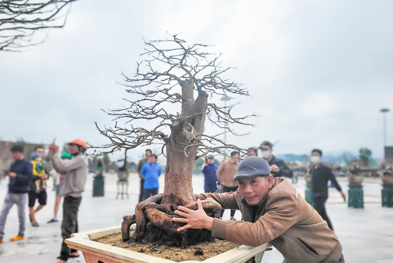 Lễ hội cũng thu hút hàng ngàn du khách đến tham dự, chiêm ngưỡng hàng trăm thế mai đẹp, độc, lạ.