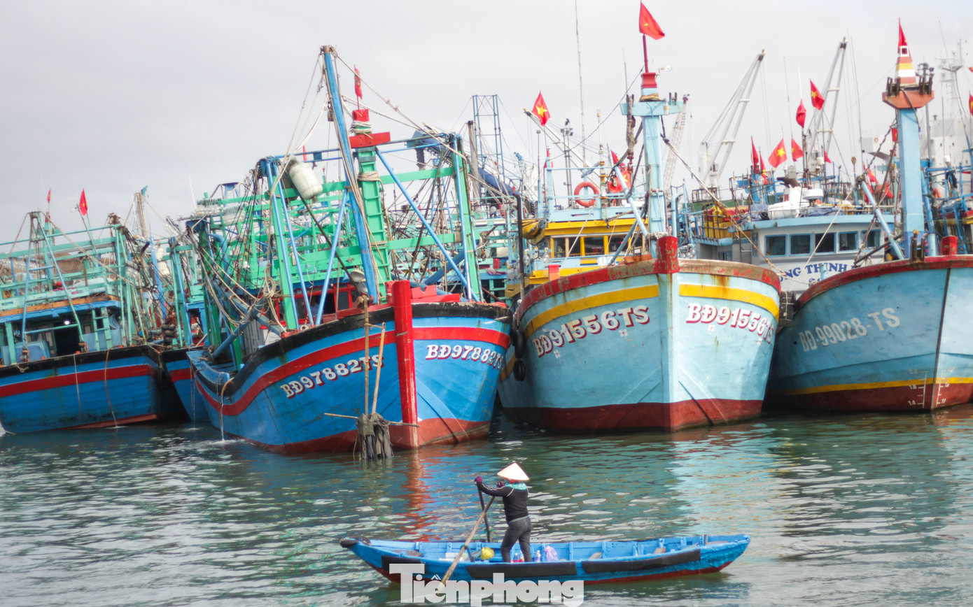 Bình Định có đội tàu đánh bắt cá lớn. Ảnh: Trương Định Bình Định có đội tàu đánh bắt cá lớn. Ảnh: Trương Định