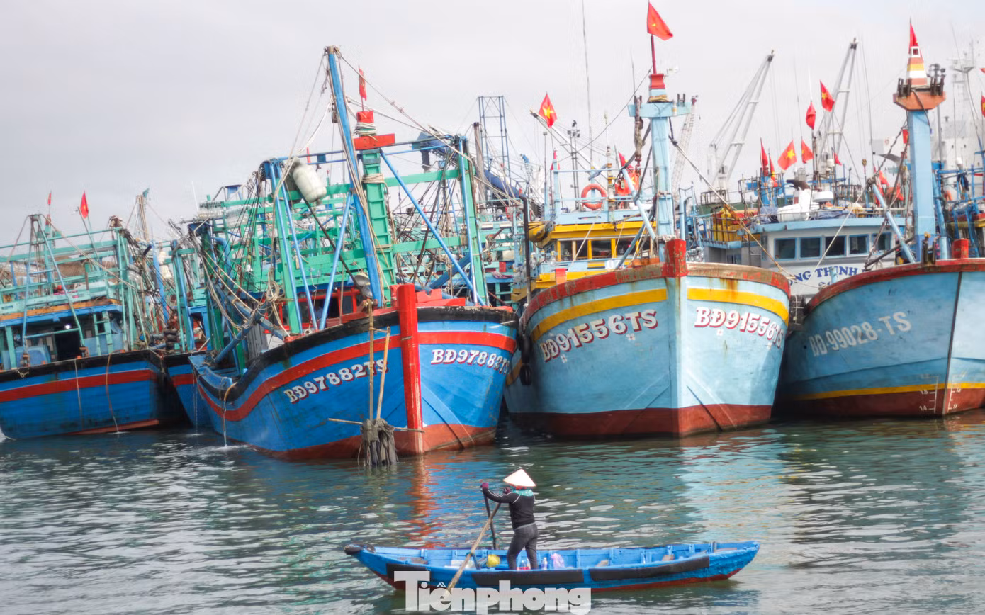 Bình Định có đội tàu đánh bắt cá lớn. Ảnh: Trương Định
