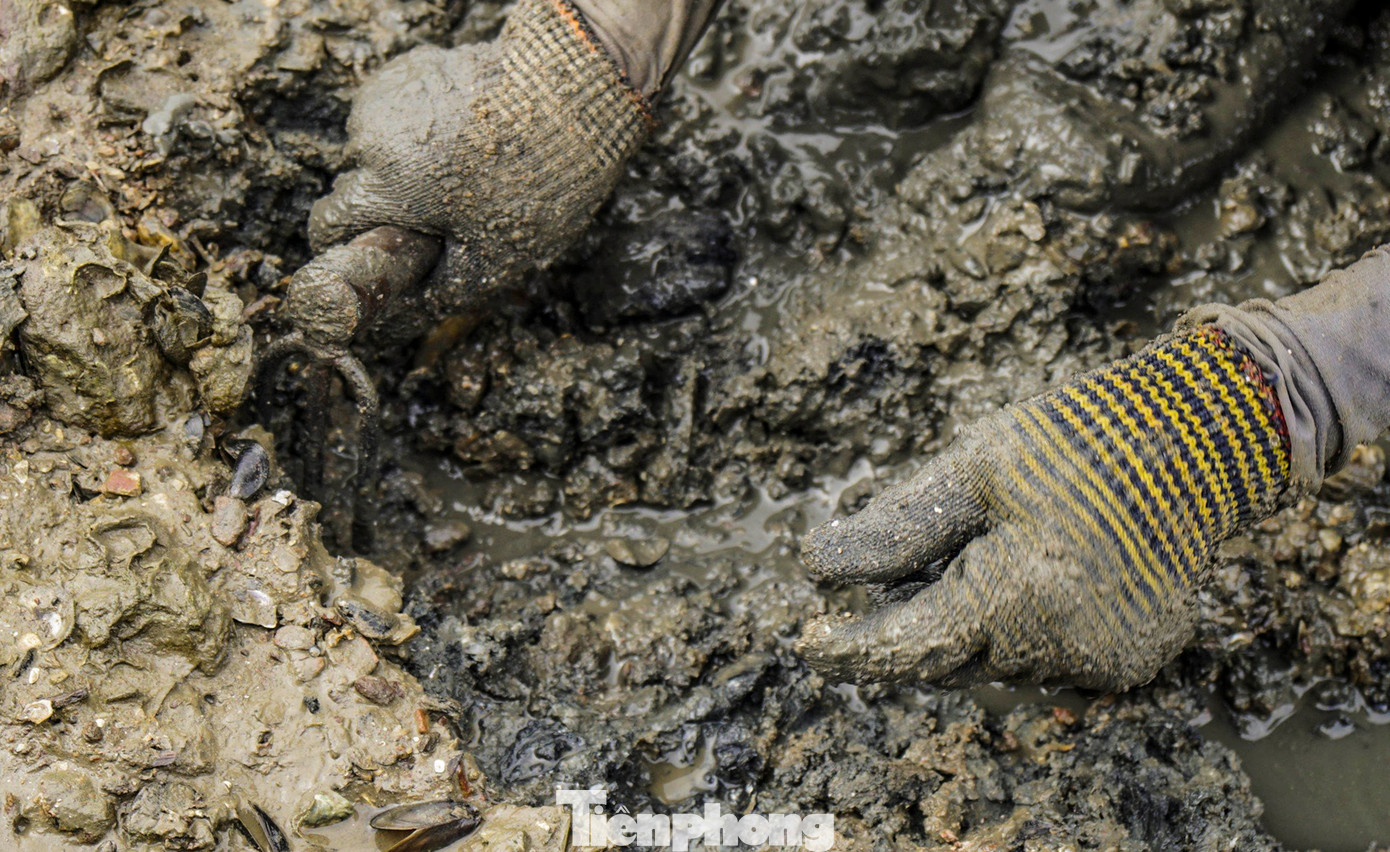 Dụng cụ đào phễnh cũng rất thô sơ, thường chỉ là một chiếc cuốc chĩa 3 răng bằng sắt.