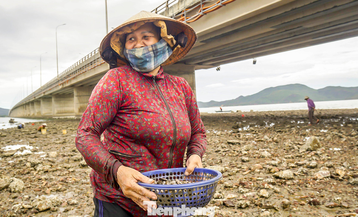 Cũng theo những người dân nơi đây, bao đời nay, họ sinh sống ven đầm Thị Nại có cuộc sống khá lên cũng nhờ vào nguồn lợi thủy sản phong phú ở đầm. Ngoài làm ruộng, những lúc rảnh rỗi là ra đầm tìm kế sinh nhai, kiếm thêm thu nhập.