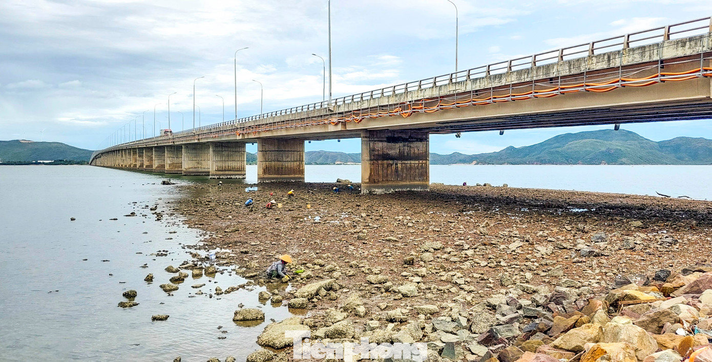 Theo người dân nơi đây, thời điểm nước rút xuống cũng khác nhau trong ngày tùy theo từng tháng trong năm. Thời điểm này thì khoảng 8 giờ sáng là nước đầm Thị Nại bắt đầu rút từ từ, đến 12 giờ trưa thì một số khu vực cạn trơ đáy, lộ ra những bãi bùn sình lầy. Nước cạn cũng chỉ 5 đến 6 tiếng rồi bắt đầu dâng lên lại.