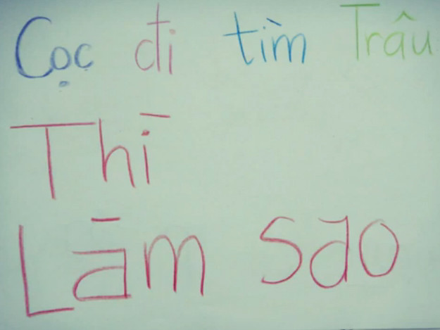 Cọc đi tìm trâu thì làm sao?