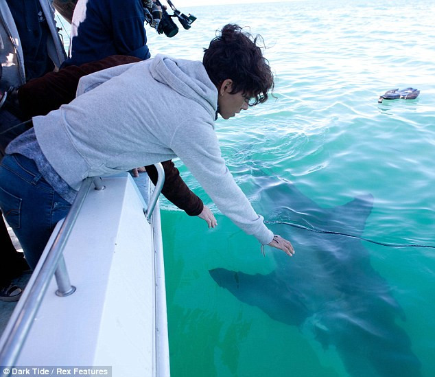 Cô thậm chí còn nhoài người ra khỏi mạn thuyền để đùa giỡn với chúng. Cô thậm chí còn nhoài người ra khỏi mạn thuyền để đùa giỡn với chúng