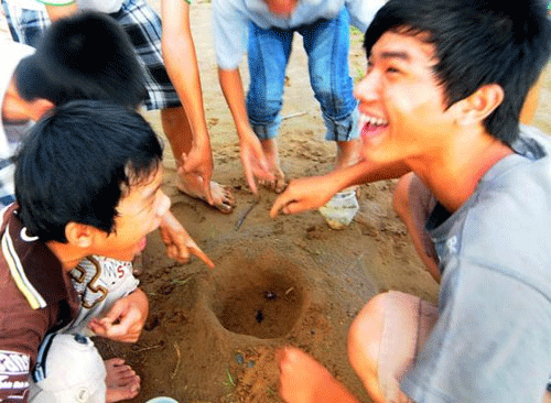 Đi bắt dế, chơi trò đá dế.