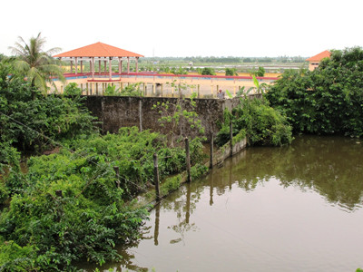 Trang trại cá sấu Cty Quốc Việt liền kề với ao vườn của người dân