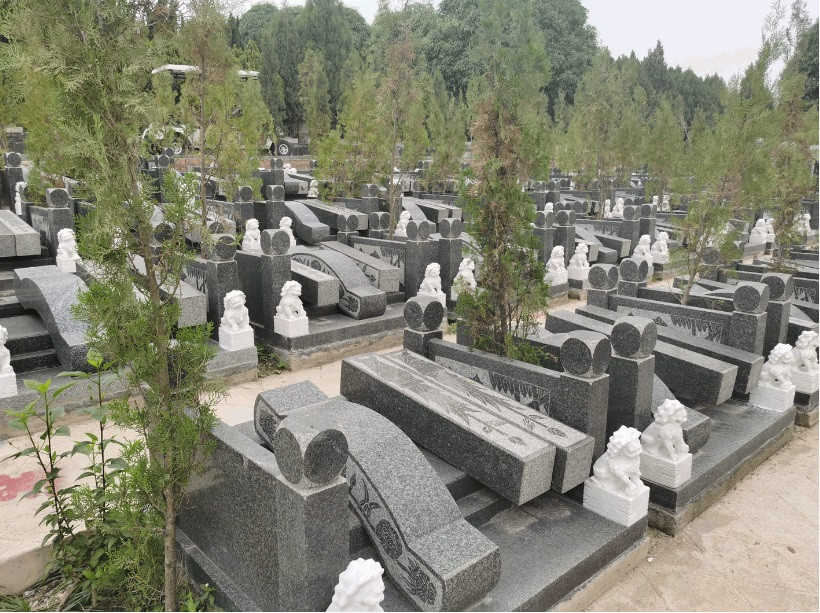 Ảnh minh họa Ảnh minh họa