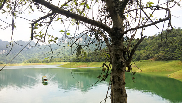 Vẻ hoang sơ tuyệt đẹp của nơi được ví như 'Vịnh Hạ Long' ở Tuyên Quang ảnh 8