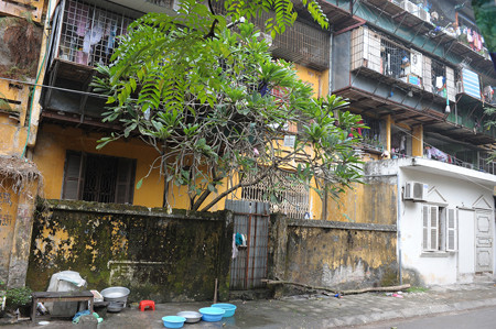 Rêu mốc bám đầy tại các góc nhà