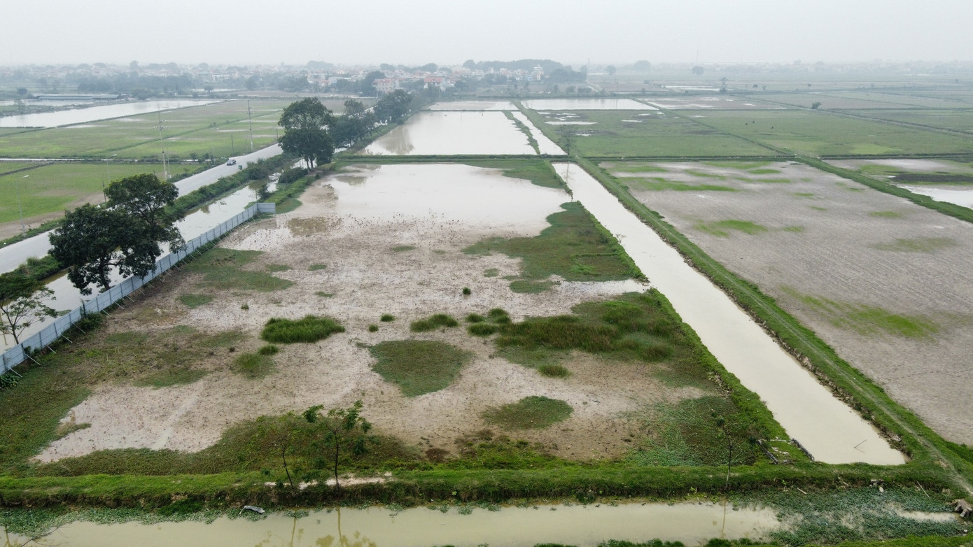 Dự án Cụm Công nghiệp Hồng Dương "vỡ tiến độ", chưa được UBND TP Hà Nội giao đất.
