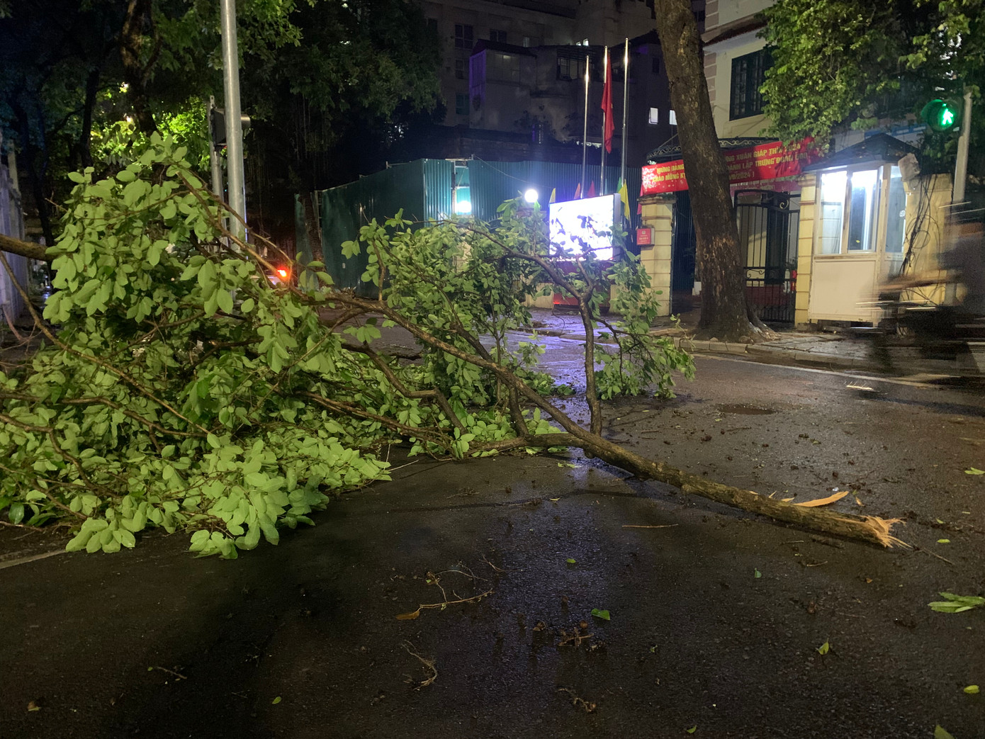 Cành cây gãy, rơi xuống giữa đường trên phố Thợ Nhuộm.