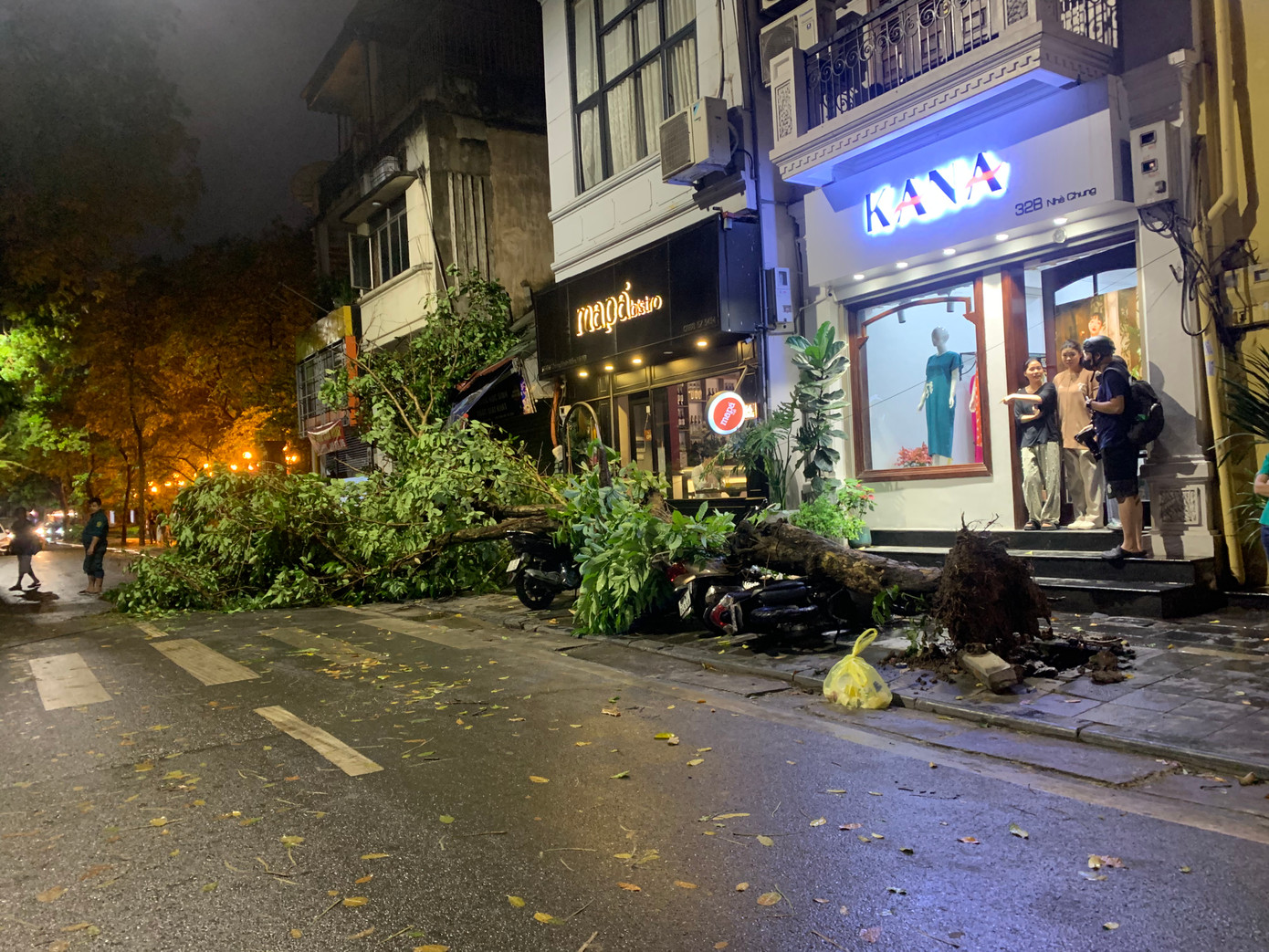 Hai cây xanh bật gốc, gãy đổ trên phố Nhà Chung đè bẹp nhiều xe máy.